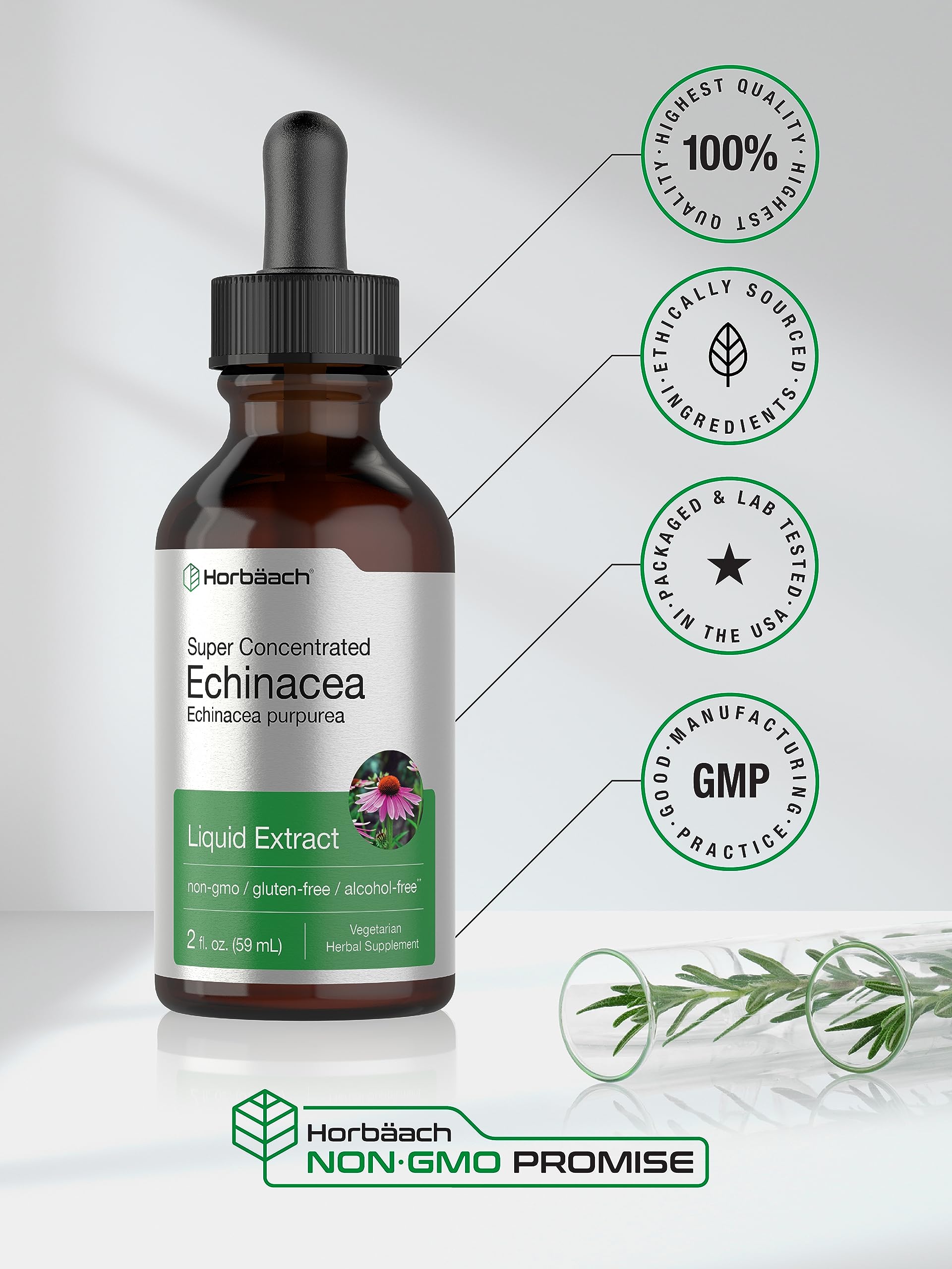 Amazon.com: Horbaach Echinacea Drops Herb Tincture | 2 fl oz